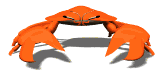 Cangrejo-16.gif