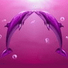 Avatar-Delfin-05.gif