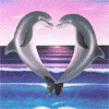 Avatar-Delfin-08.gif