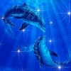 Avatar-Delfin-10.gif
