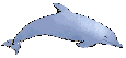 Delfin-09.gif