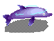 Delfin-11.gif