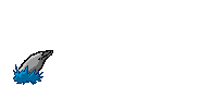 Delfin-13.gif