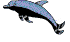 Delfin-20.gif