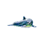 Delfin-21.gif