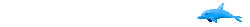 Delfin-22.gif