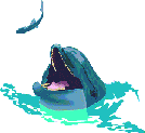 Delfin-23.gif