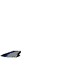 Delfin-26.gif
