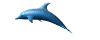 Delfin-28.gif