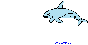 Delfin-30.gif