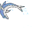 Delfin-36.gif