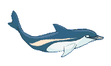 Delfin-39.gif