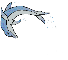 Delfin-45.gif