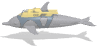 Delfin-47.gif