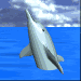 Delfin-48.gif