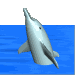 Delfin-49.gif