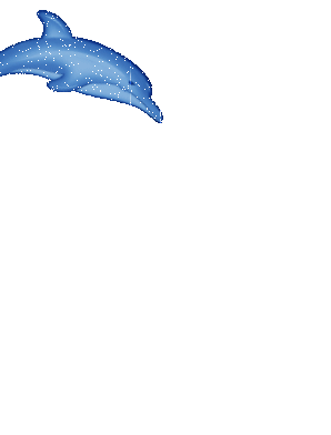 Delfin-58.gif