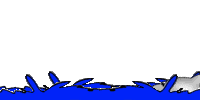 Delfin-60.gif