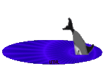Delfin-61.gif