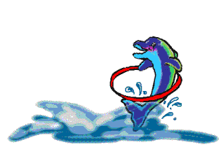 Delfin-63.gif