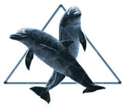 Delfin-64.gif