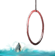 Delfin-66.gif