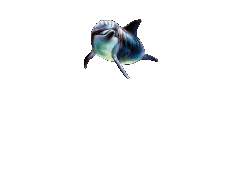 Delfin-70.gif