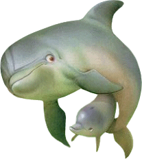 Delfin-72.gif