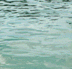 Delfin-74.gif