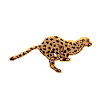 Avatar-Felino-01.gif