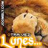Avatar-Felino-05.gif
