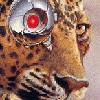 Avatar-Felino-16.gif