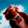 Avatar-Felino-25.gif