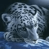 Avatar-Felino-27.gif
