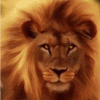 Avatar-Felino-41.gif