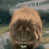 Avatar-Felino-44.gif
