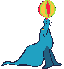 Foca-01.gif