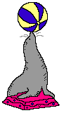Foca-03.gif