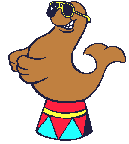 Foca-05.gif