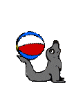 Foca-07.gif