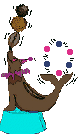 Foca-09.gif