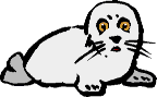 Foca-10.gif