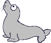 Foca-11.gif