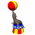 Foca-16.gif
