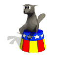 Foca-17.gif