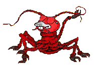 Langosta-05.gif