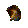 Medusa-07.gif