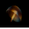 Medusa-08.gif