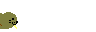 Morsa-06.gif