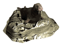 Morsa-12.gif